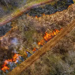 March 2020 (Shaker Village of Plesant Hill)